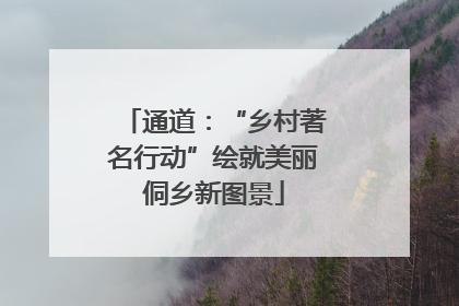 通道：“乡村著名行动”绘就美丽侗乡新图景