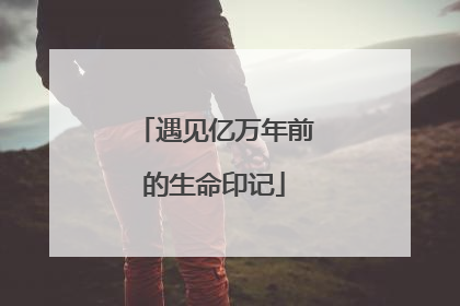 遇见亿万年前的生命印记