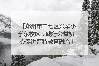 郑州市二七区兴华小学东校区：践行公益初心促进普特教育融合