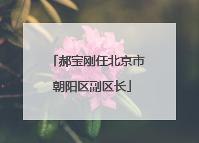 郝宝刚任北京市朝阳区副区长