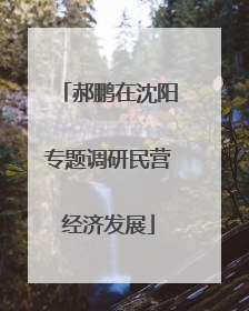 郝鹏在沈阳专题调研民营经济发展