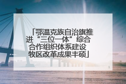 鄂温克族自治旗推进“三位一体”综合合作组织体系建设 牧区改革成果丰硕