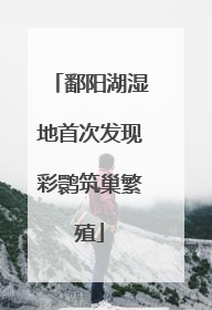鄱阳湖湿地首次发现彩鹮筑巢繁殖