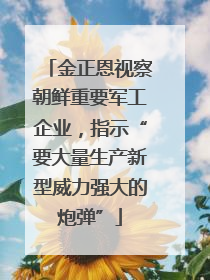 金正恩视察朝鲜重要军工企业，指示“要大量生产新型威力强大的炮弹”