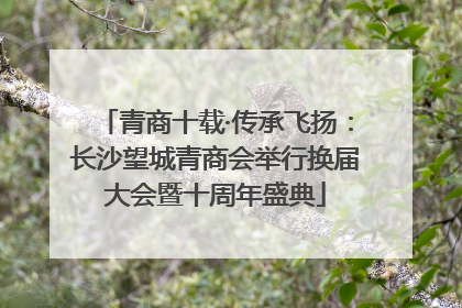青商十载·传承飞扬：长沙望城青商会举行换届大会暨十周年盛典