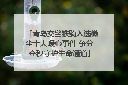 青岛交警铁骑入选微尘十大暖心事件 争分夺秒守护生命通道