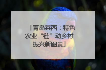 青岛莱西：特色农业“链”动乡村振兴新图景