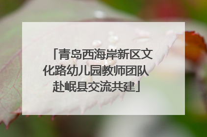 青岛西海岸新区文化路幼儿园教师团队赴岷县交流共建