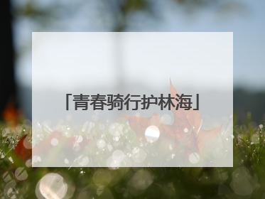 青春骑行护林海