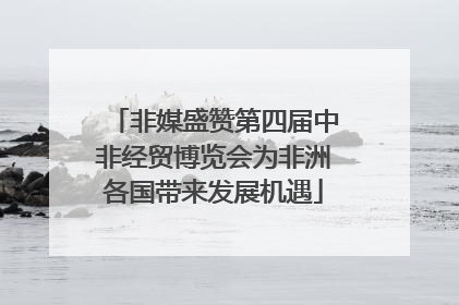 非媒盛赞第四届中非经贸博览会为非洲各国带来发展机遇