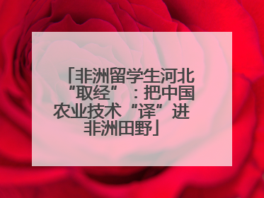 非洲留学生河北“取经”：把中国农业技术“译”进非洲田野