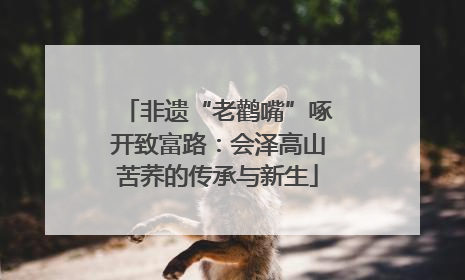 非遗“老鹳嘴”啄开致富路：会泽高山苦荞的传承与新生