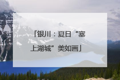 银川：夏日“塞上湖城”美如画