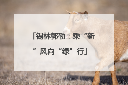 锡林郭勒：乘“新”风向“绿”行
