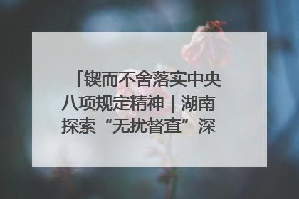锲而不舍落实中央八项规定精神｜湖南探索“无扰督查”深化基层减负