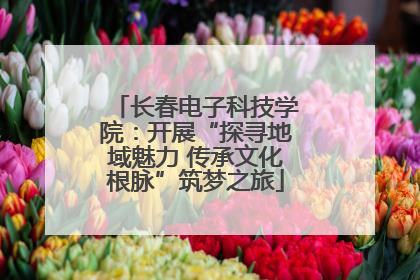 长春电子科技学院：开展“探寻地域魅力 传承文化根脉”筑梦之旅
