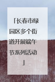 长春市绿园区多个街道开展端午节系列活动