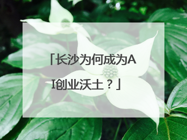 长沙为何成为AI创业沃土？