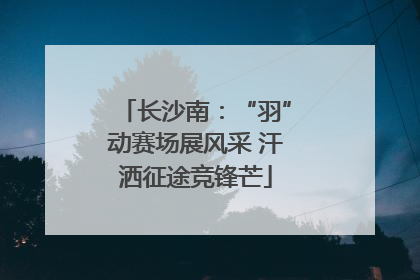 长沙南：“羽”动赛场展风采 汗洒征途竞锋芒