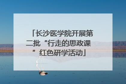 长沙医学院开展第二批“行走的思政课”红色研学活动