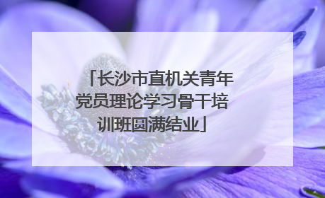 长沙市直机关青年党员理论学习骨干培训班圆满结业