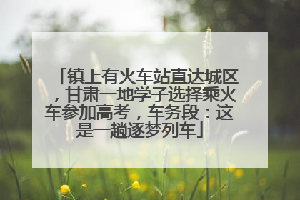 镇上有火车站直达城区，甘肃一地学子选择乘火车参加高考，车务段：这是一趟逐梦列车