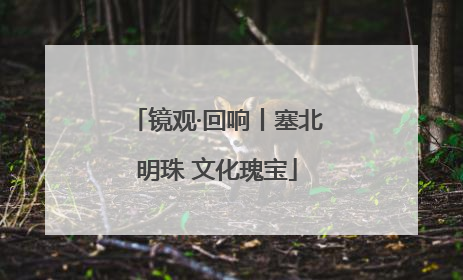 镜观·回响丨塞北明珠 文化瑰宝
