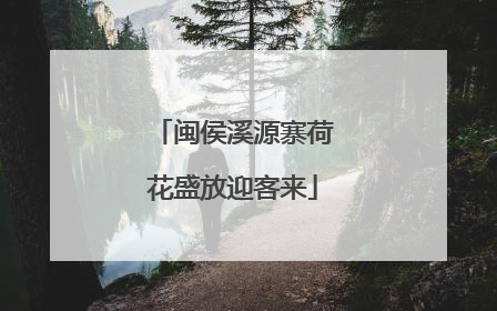 闽侯溪源寨荷花盛放迎客来