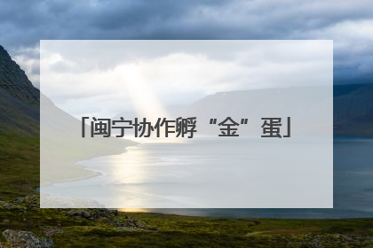 闽宁协作孵“金”蛋