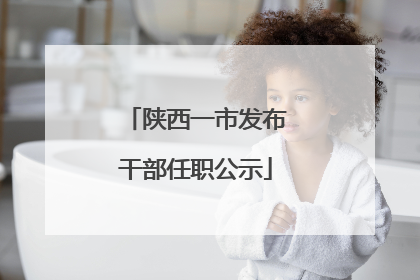 陕西一市发布干部任职公示