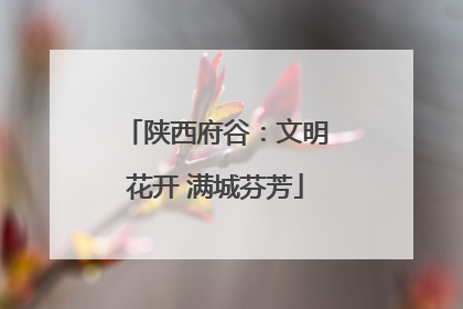 陕西府谷：文明花开 满城芬芳