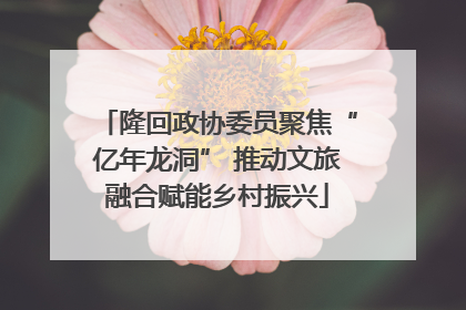 隆回政协委员聚焦“亿年龙洞” 推动文旅融合赋能乡村振兴