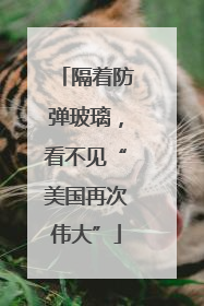 隔着防弹玻璃，看不见“美国再次伟大”