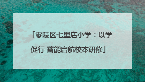 零陵区七里店小学：以学促行 蓄能启航校本研修