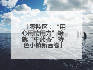 零陵区：“用心用情用力”绘就“中药香”特色小镇新画卷
