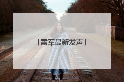 雷军最新发声