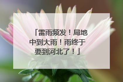 雷雨频发！局地中到大雨！雨终于要到河北了！