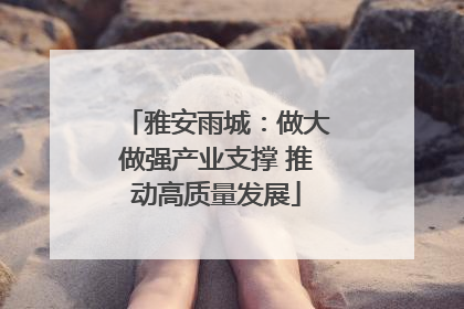 雅安雨城：做大做强产业支撑 推动高质量发展