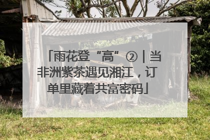 雨花登“高”②｜当非洲紫茶遇见湘江，订单里藏着共富密码