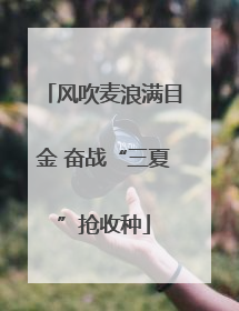风吹麦浪满目金 奋战“三夏”抢收种