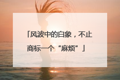 风波中的白象，不止商标一个“麻烦”