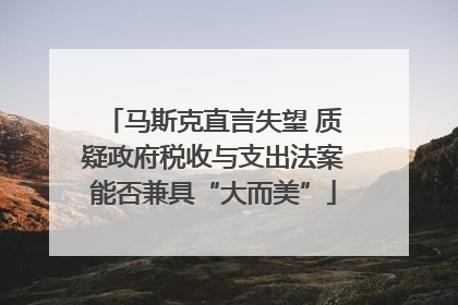 马斯克直言失望 质疑政府税收与支出法案能否兼具“大而美”