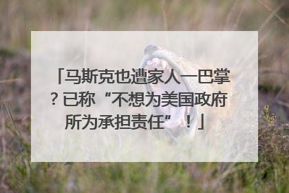 马斯克也遭家人一巴掌？已称“不想为美国政府所为承担责任”！