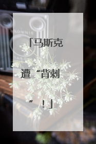 马斯克遭“背刺”！
