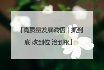 高质量发展践悟｜抓到底 改到位 治到根