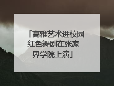 高雅艺术进校园 红色舞剧在张家界学院上演