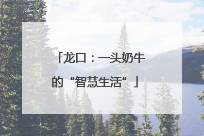 龙口：一头奶牛的“智慧生活”
