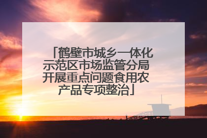 鹤壁市城乡一体化示范区市场监管分局开展重点问题食用农产品专项整治
