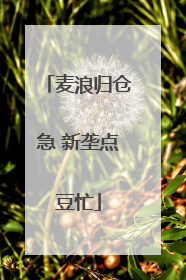 麦浪归仓急 新垄点豆忙