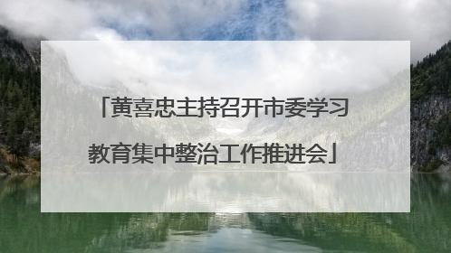 黄喜忠主持召开市委学习教育集中整治工作推进会